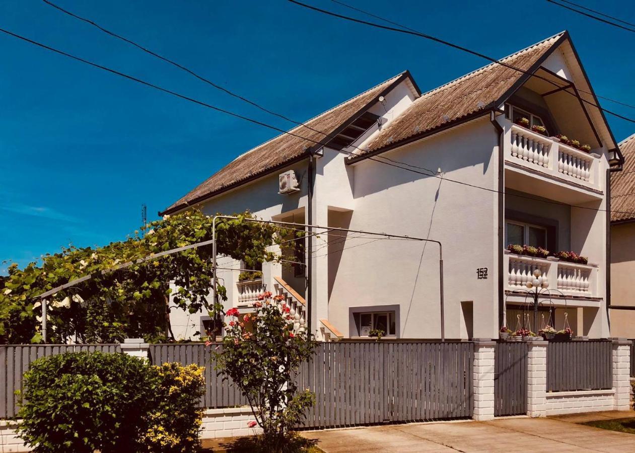 Natalia Vendeghaz Hotel Csetfalvat Exterior photo